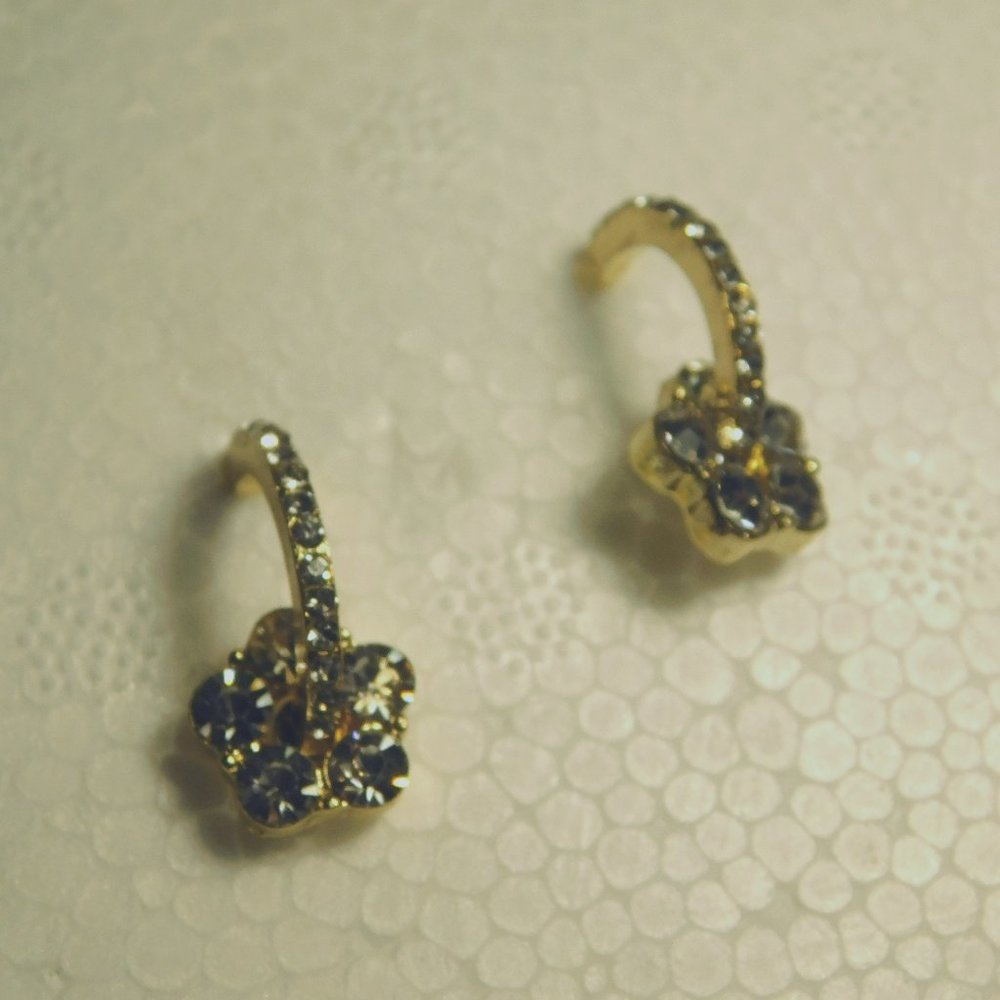 PIERCED EARRINGS
